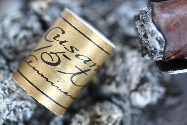 库萨诺 15 周年兰塞罗 8.JPG 库萨诺 15 周年兰塞罗 8.JPG