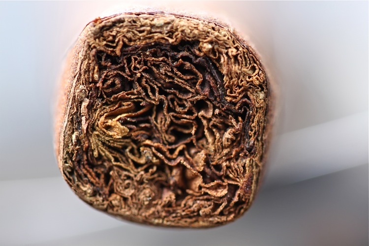 La Flor 多米尼加 Air Bender Lancero 3.JPG La Flor 多米尼加 Air Bender Lancero 3.JPG