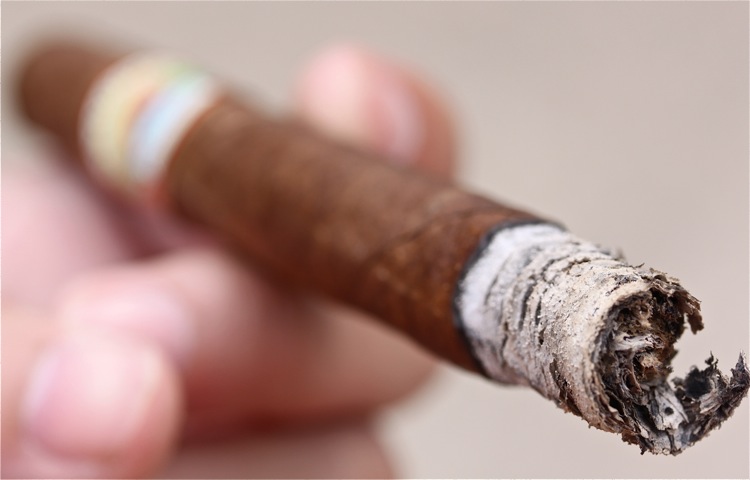 La Aurora Preferidos 喀麦隆 Lancero 4.JPG La Aurora Preferidos 喀麦隆 Lancero 4.JPG