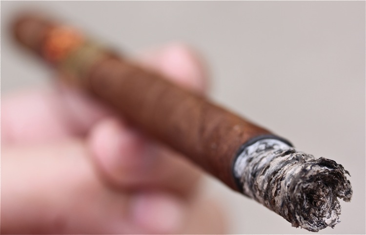 科罗纳多,La Flor Lancero 4.JPG 科罗纳多,La Flor Lancero 4.JPG