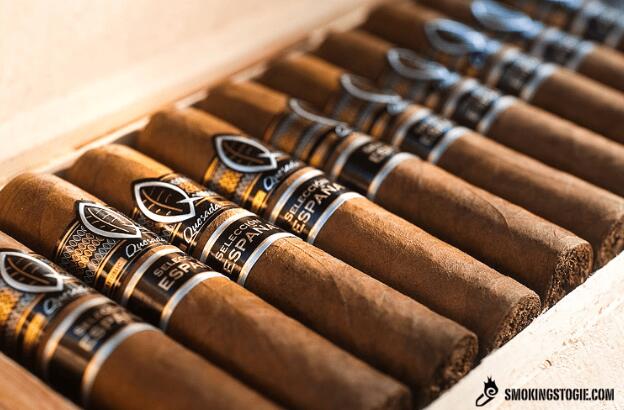 Quesada Espana 短罗布斯托 4.png Quesada Espana 短罗布斯托 4