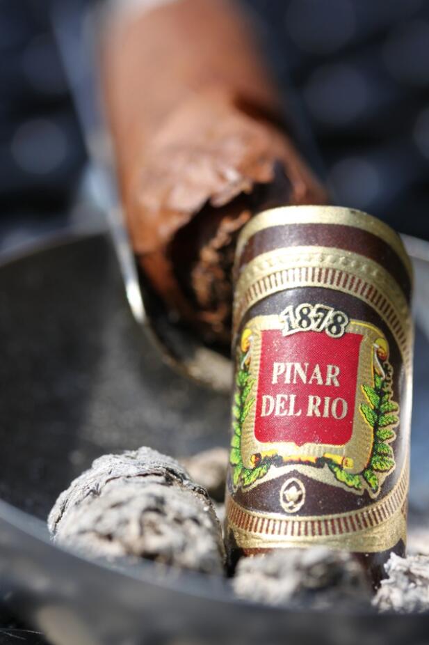 比那尔德里奥哈瓦那阳光生长的 Lancero 8.jpg 比那尔德里奥哈瓦那阳光生长的 Lancero 8.jpg