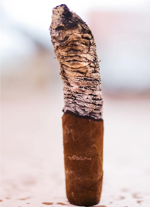 阿图罗・富恩特 海明威・短篇小说雪茄(Arturo Fuente Hemingway Short Story)